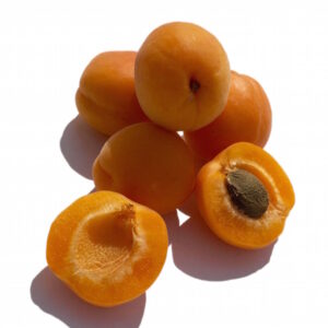 Apricot Kernel Oil