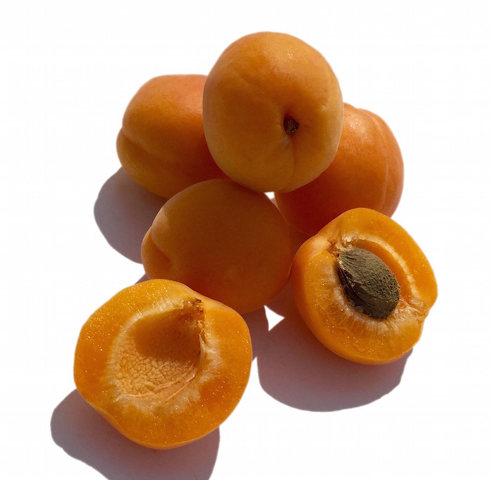 Apricot.jpg Apricot.jpg