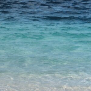 Aqua Fresh Fragrance