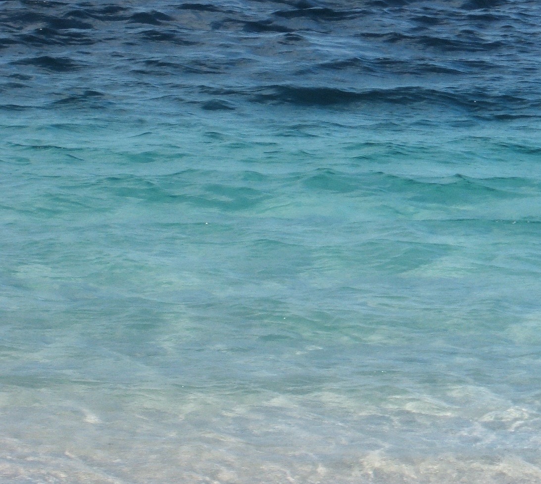 Aqua-Fresh.jpg Aqua-Fresh.jpg