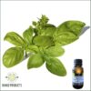 Basil Essential Oil (Ocimum basilicum) - 50ml