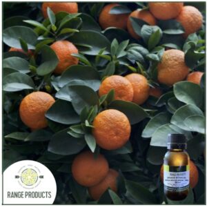Orange Bitter Essential Oil-Out of Stock