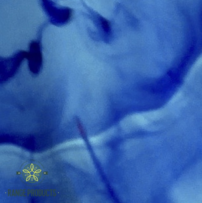 Brilliant-Blue-1.jpg Brilliant-Blue-1.jpg