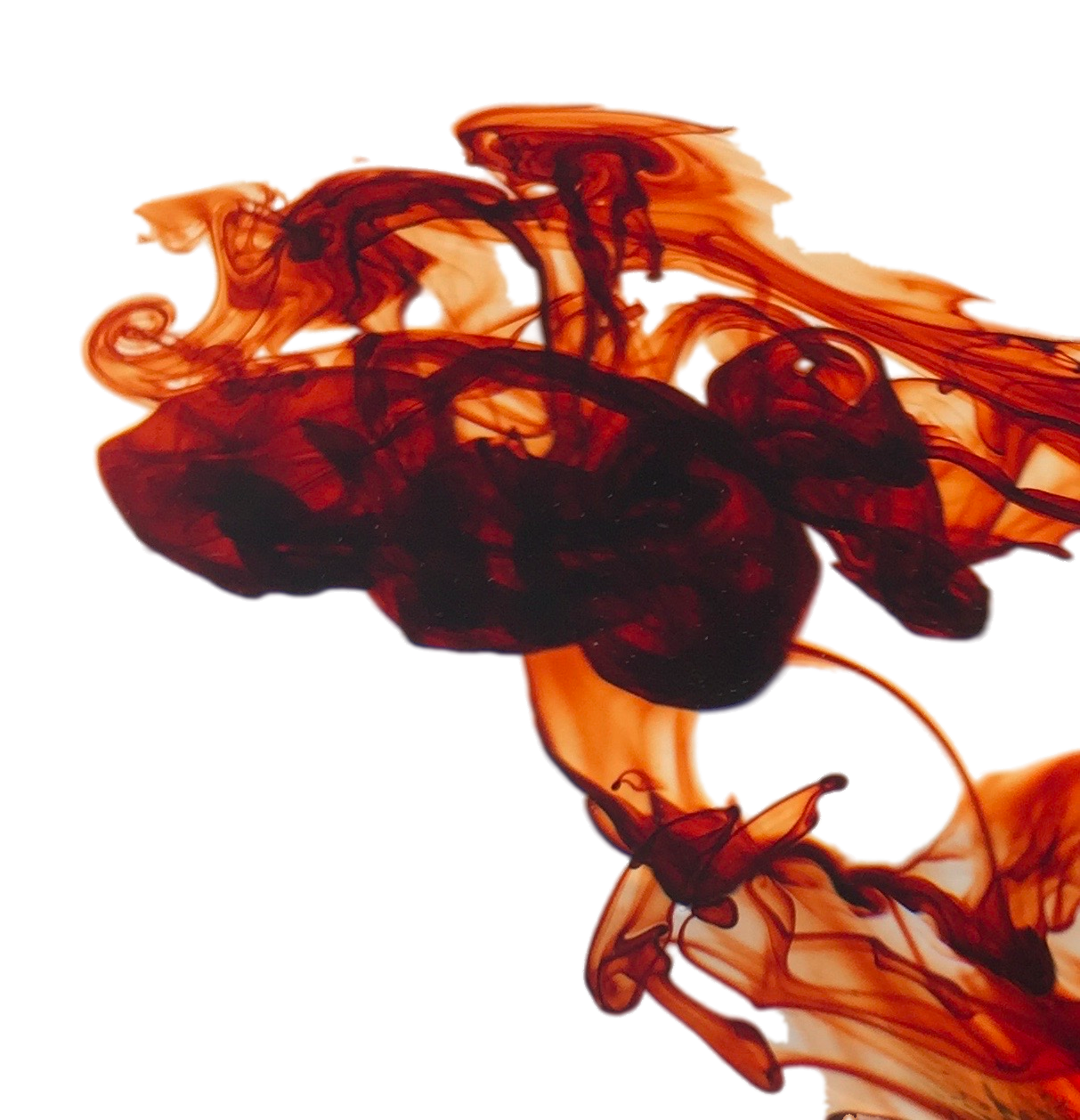 Brown-1.png Brown-1.png