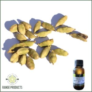 Cardamom Essential Oil (Elettaria cardamomum)