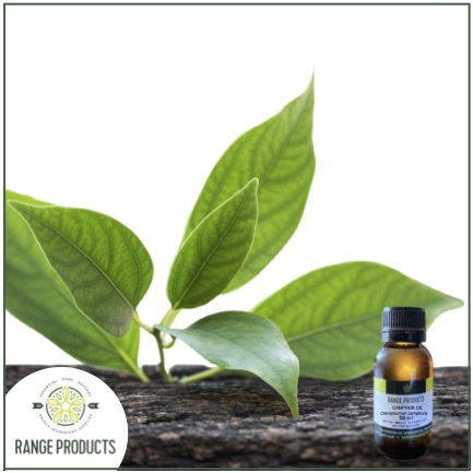 Camphor Essential Oil Camphor Essential Oil