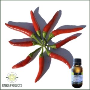 Chilli Capsicum Oleoresin (Capsicum annuum)