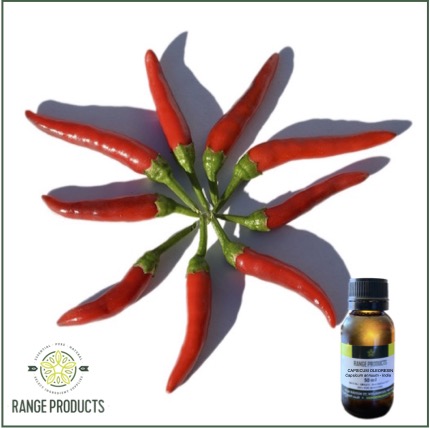 Capsicum-Oleoresin.jpg Capsicum-Oleoresin.jpg