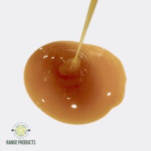 Salted Caramel Fragrance