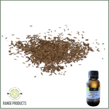 Caraway Essential Oil Caraway Essential Oil