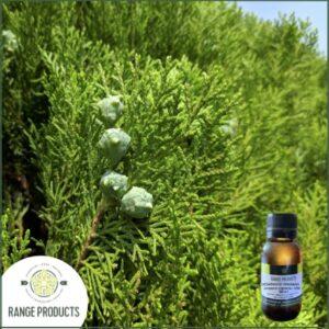 Cedarwood Virginian Essential Oil (Juniperus virginiana)