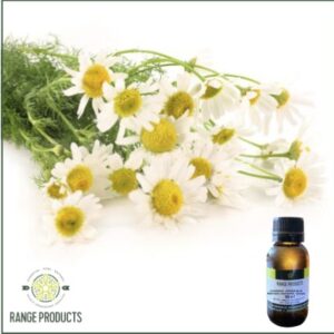 Chamomile German Blue Essential Oil (Matricaria chamomilla)
