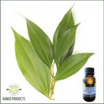 Cinnamon Leaf Essential Oil