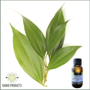 Cinnamon Leaf Essential Oil