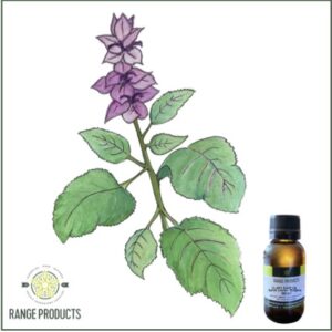 Clary Sage Essential Oil