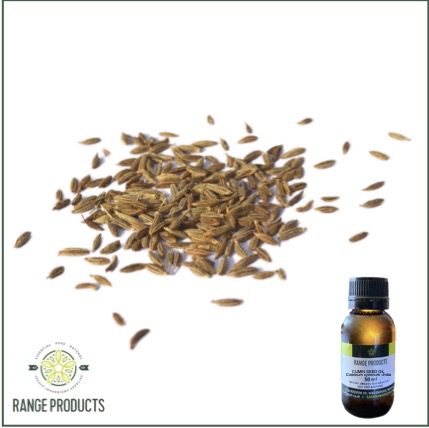 Cumin-oil.jpg Cumin-oil.jpg