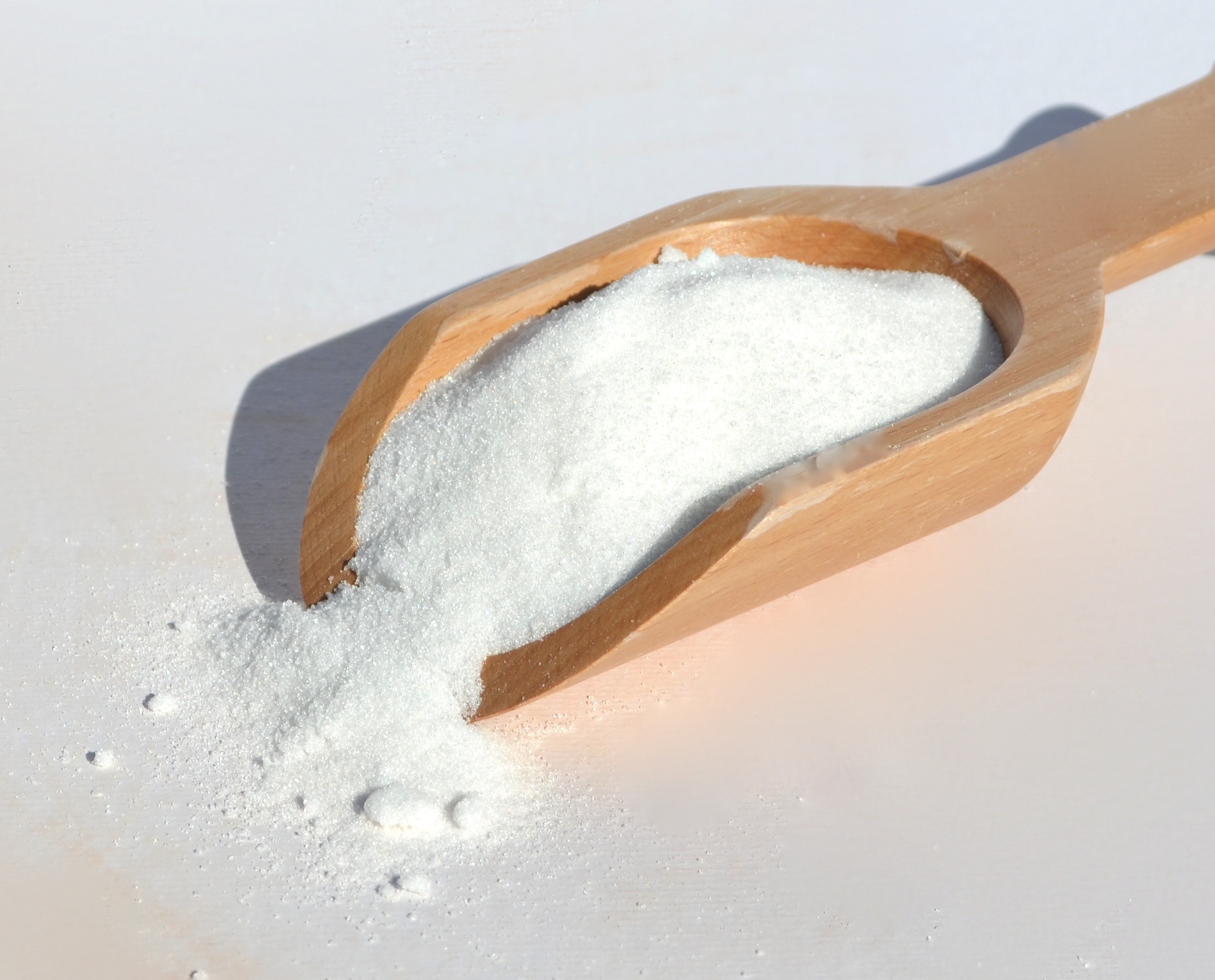 DSC_0137.jpg DSC_0137.jpg