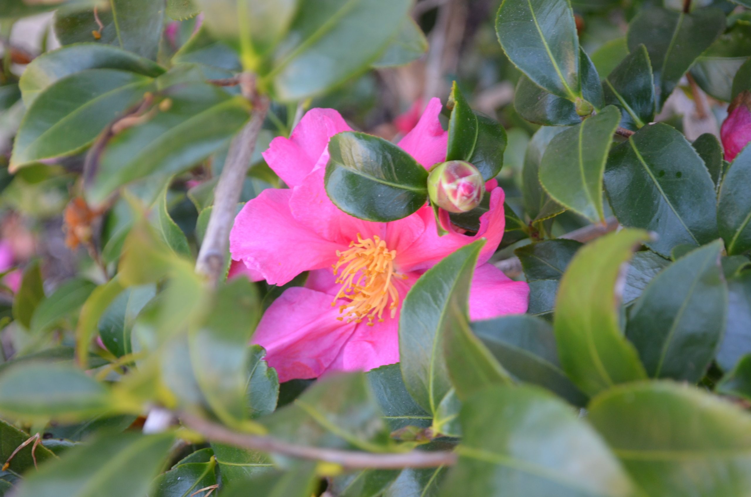 DSC_0400-scaled-1.jpg DSC_0400-scaled-1.jpg