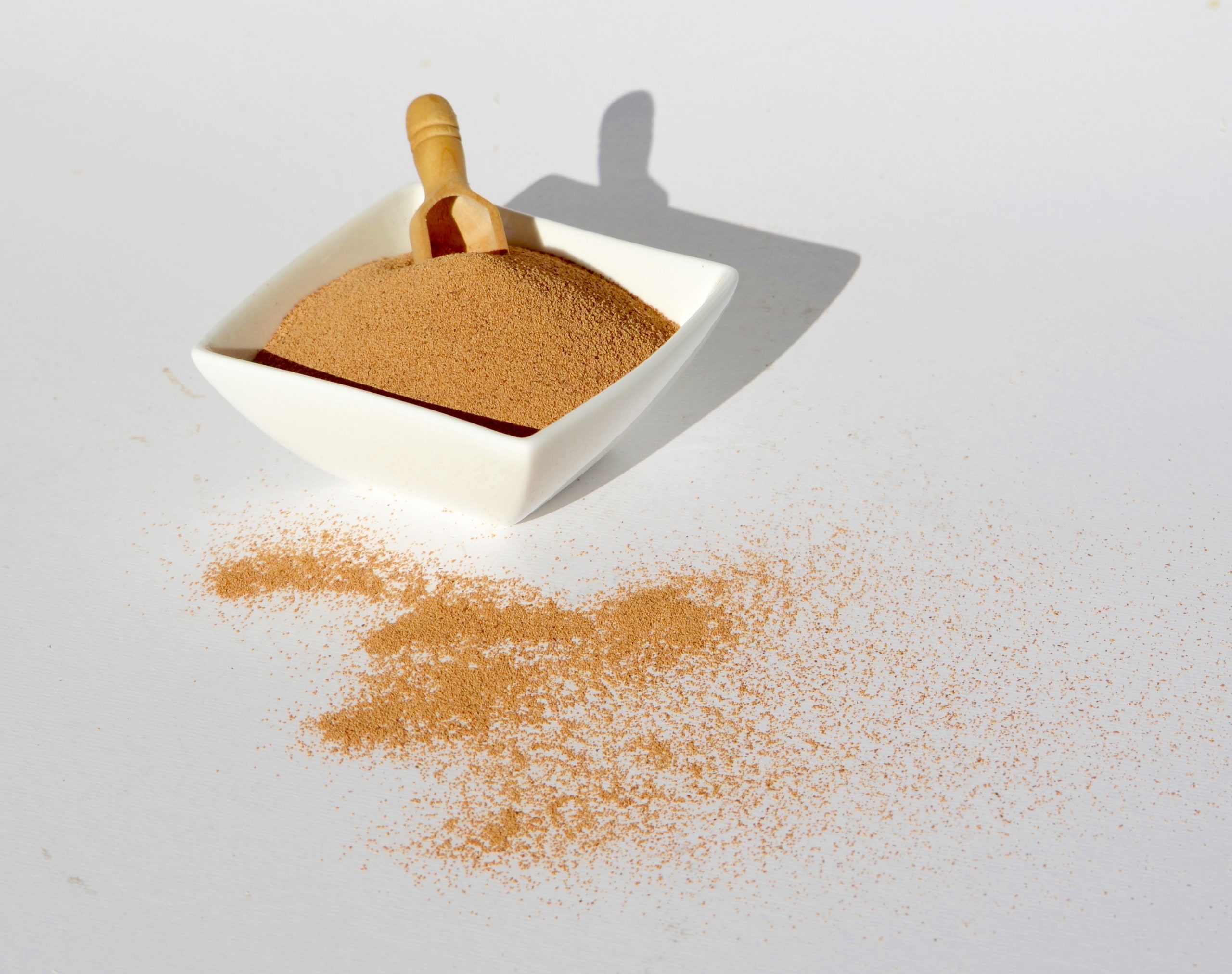 DSC_0441-1-scaled-1.jpg DSC_0441-1-scaled-1.jpg