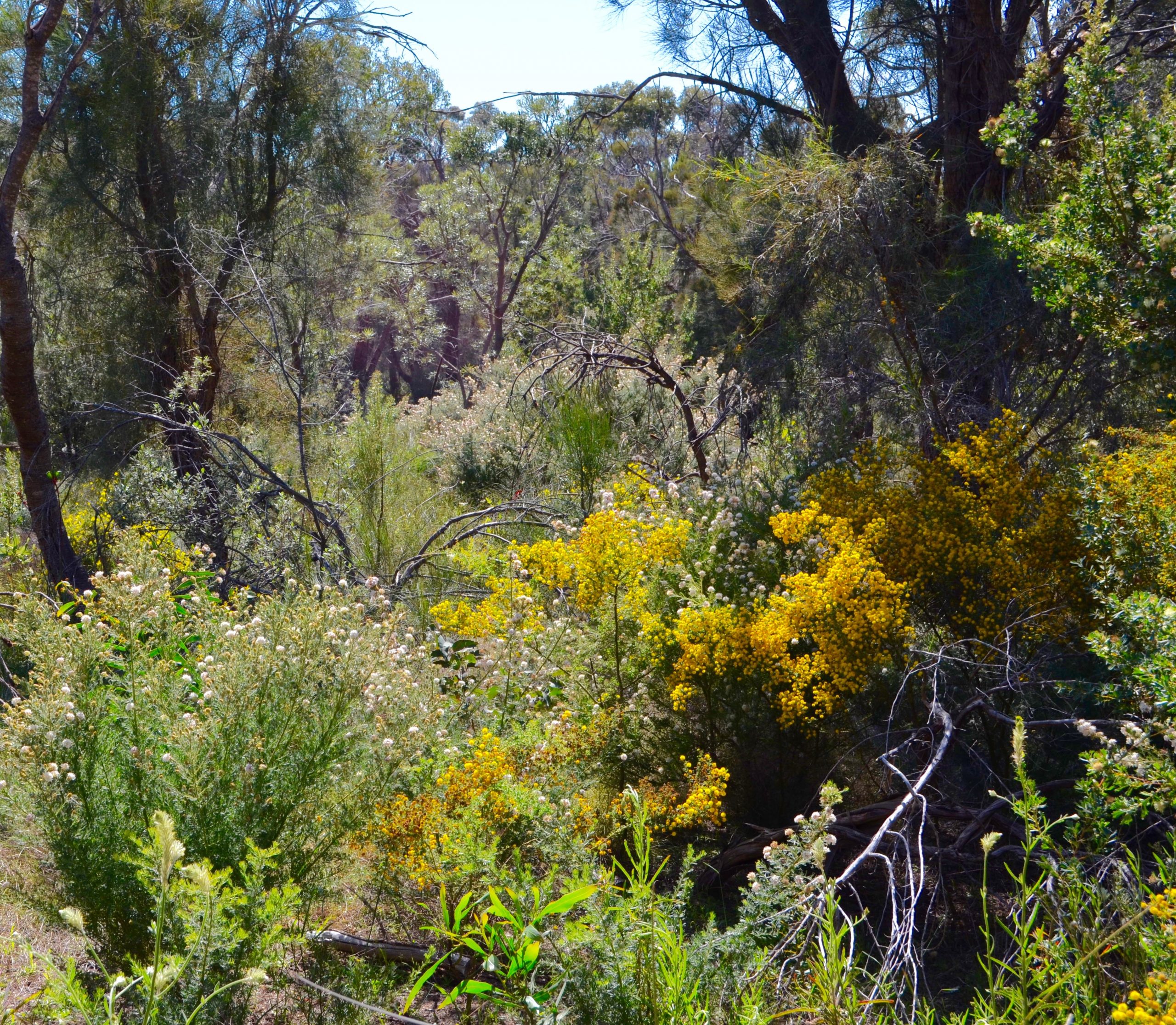 DSC_0442-scaled-1.jpg DSC_0442-scaled-1.jpg