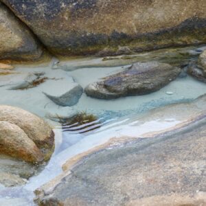 Eau De Roche Fragrance