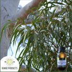 Eucalyptus Citriodora Essential Oil