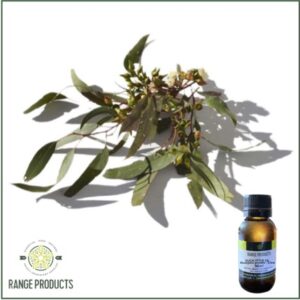 Eucalyptus Globulus Essential Oil