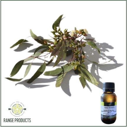 Eucalyptus Globulus Essential Oil Eucalyptus Globulus Essential Oil