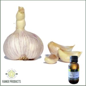 Garlic Essential Oil (Allium sativum)