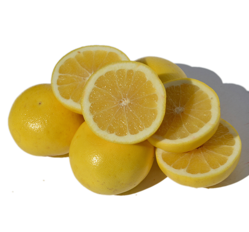 Grapefruit.png Grapefruit.png