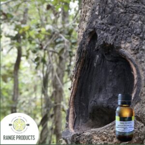 Gurjun Balsam Essential Oil (Dipterocarpus spp)