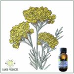 Helychrysum Essential Oil