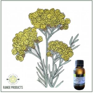Helychrysum Essential Oil