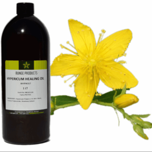Hypericum (St John's Wort) Infused Oil
