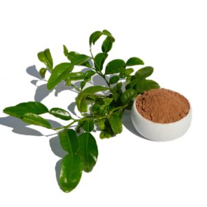 Kaffir Lime & Coco Fragrance