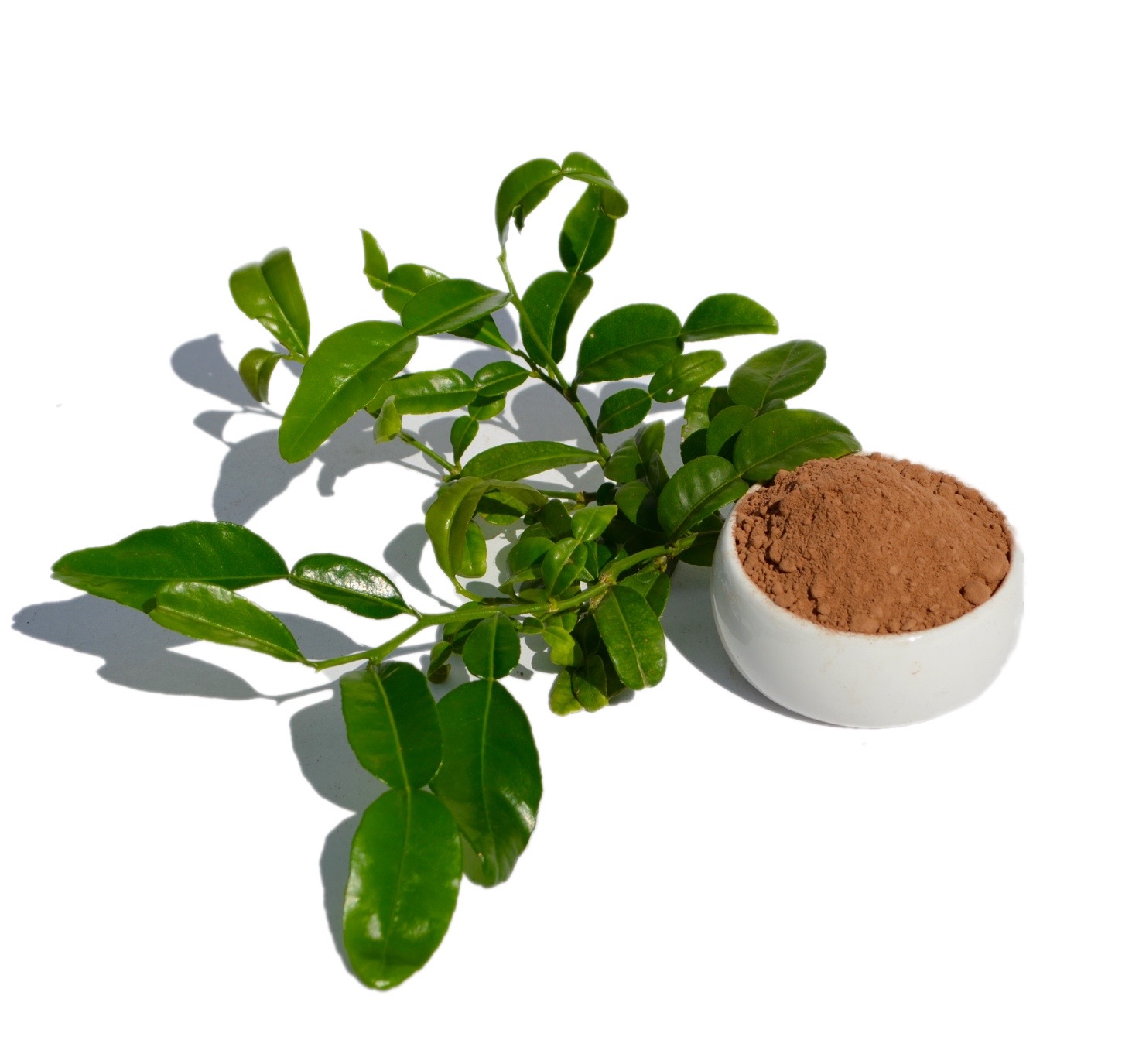 Kaffir-Lime-Coco.jpg Kaffir-Lime-Coco.jpg