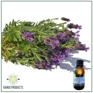 Lavender Bulgarian Essential Oil (Lavandula angustifolia Mill.)