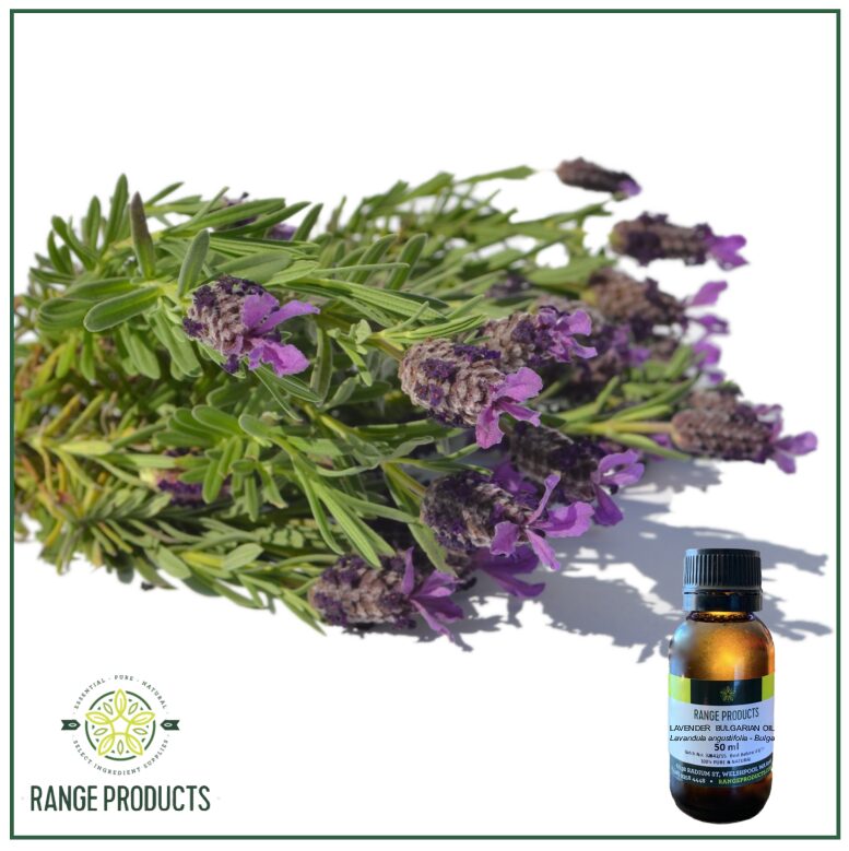 Lavender-Bulgarian-Oil-pdf.jpg Lavender-Bulgarian-Oil-pdf.jpg