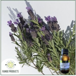 Lavender Greek Essential Oil (Lavandula angustifolia)