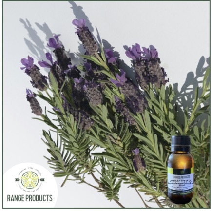 Lavender-Greek-Oil-jpeg.jpg Lavender-Greek-Oil-jpeg.jpg