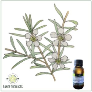 Tea Tree Lemon Scented Essential Oil (Leptospermum petersonii)