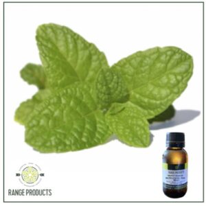 Menthol Liquid Essential Oil