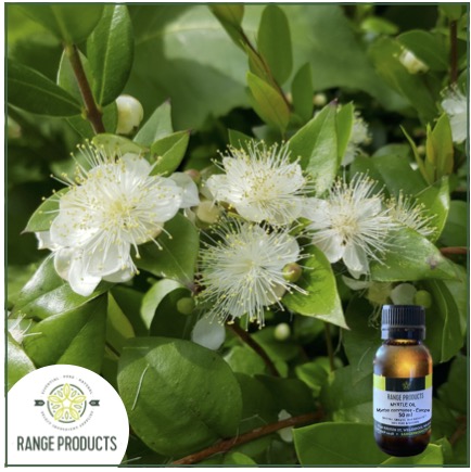 Myrtle Essential Oil