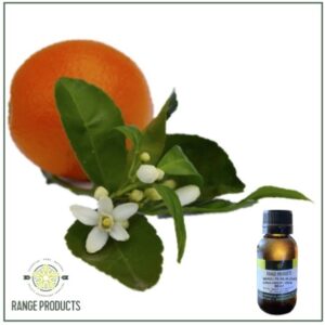 Neroli Oil (Citrus aurantium blossom) 3% Dilution in Jojoba