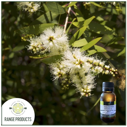 Nerolina jpeg Nerolina jpeg