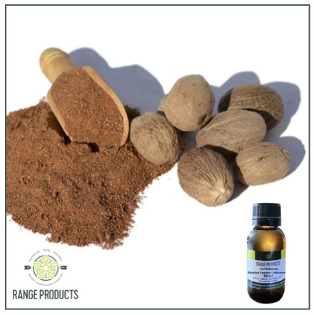 Nutmeg Essential Oil Nutmeg Essential Oil