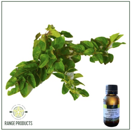 Oregano Essential Oil Oregano Essential Oil