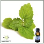 Patchouli Essential Oil