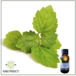 Patchouli Essential Oil