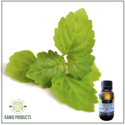 Patchouli Essential Oil Patchouli Essential Oil